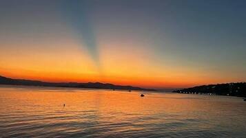 公寓 | 1 間臥室