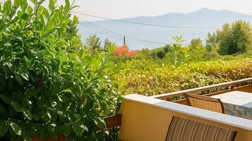 公寓 | 1 間臥室