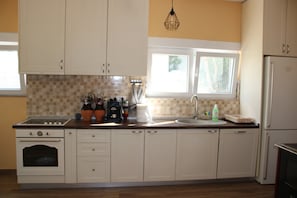Fridge, oven, stovetop, dishwasher