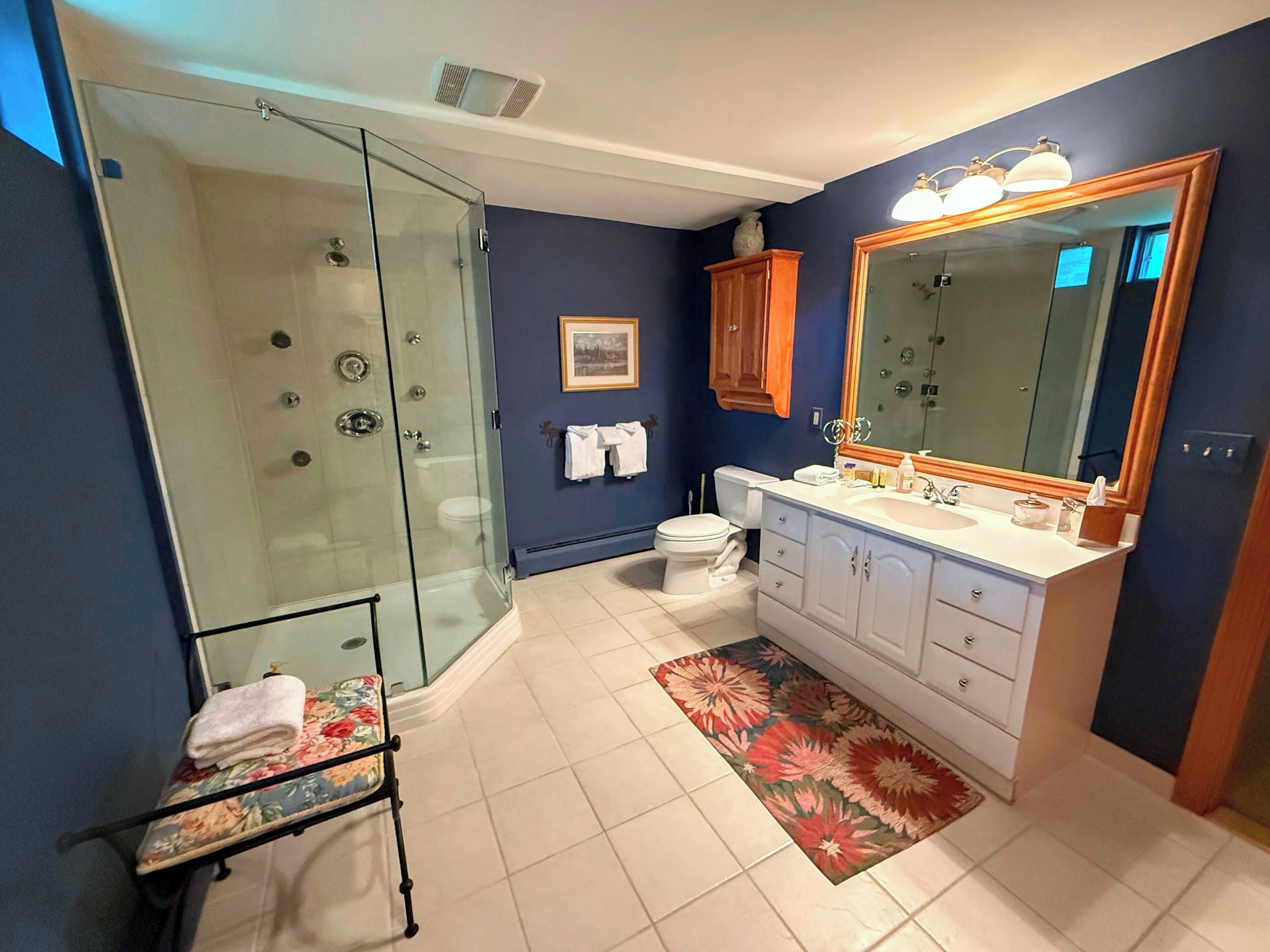 Shower, hair dryer, towels, toilet paper