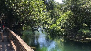 A wooden bridge over a calm river surrounded by dense greenery. - Room 'Hortensie' with Private Terrace, Private Garden and Wi-Fi (Weil der Stadt)