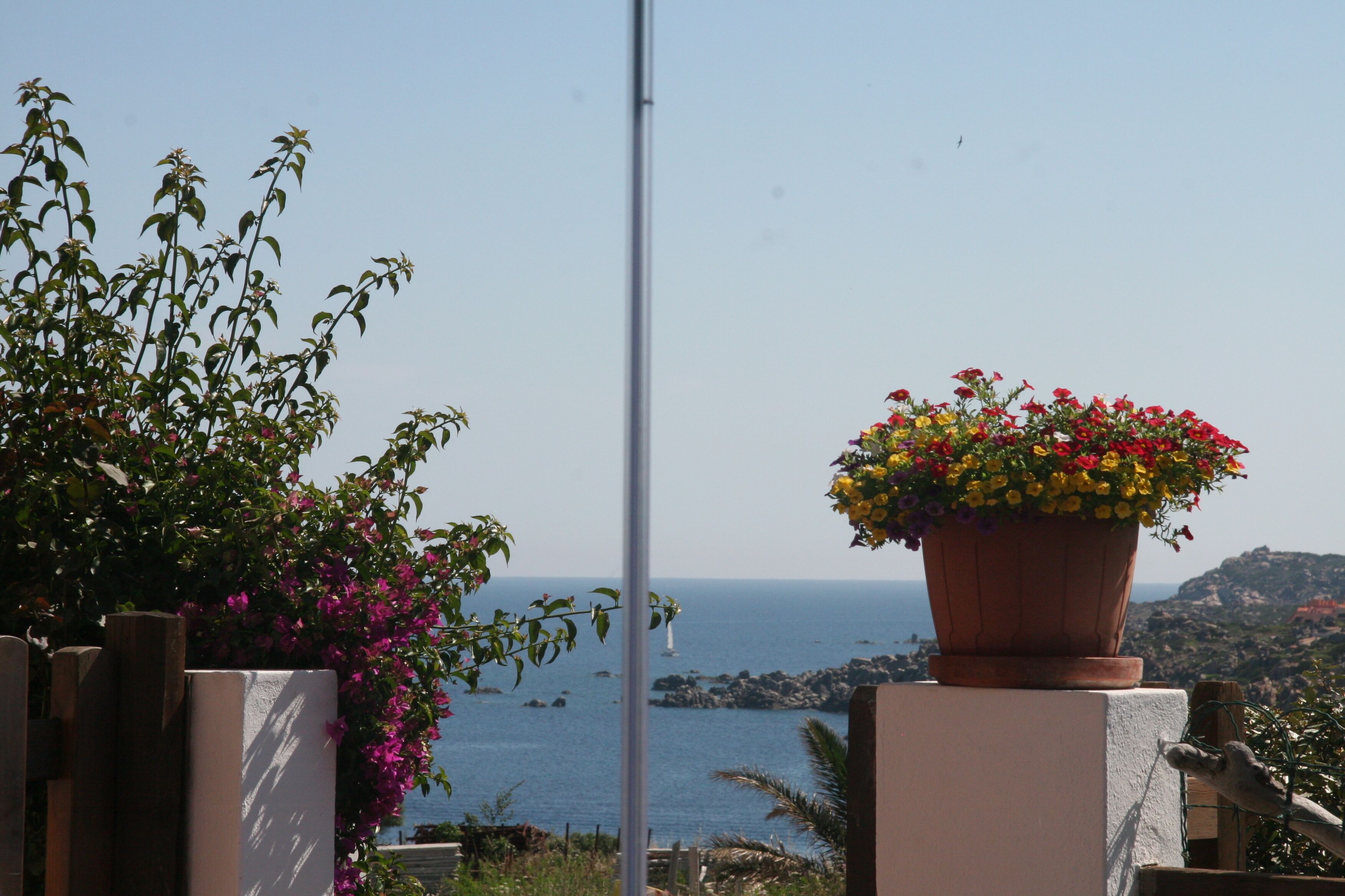 Un balcon avec une plante en pot et une vue sur la mer.