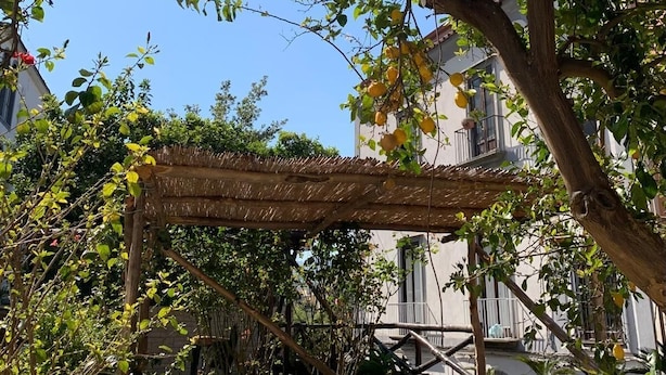 Une structure en forme de pergola dans un jardin, avec un ciel dégagé en arrière-plan.