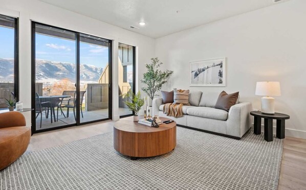 TV, fireplace, DVD player, books