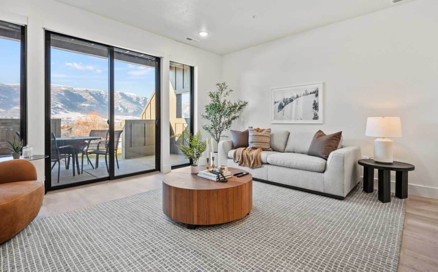 Televisión, chimenea, reproductor de DVD y libros 