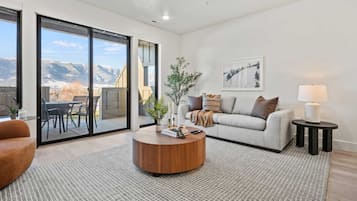 Televisión, chimenea, reproductor de DVD y libros