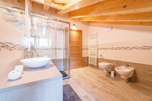 Shower, hair dryer, bidet, towels
