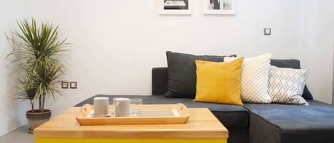 Télévision, lecteur de DVD, livres