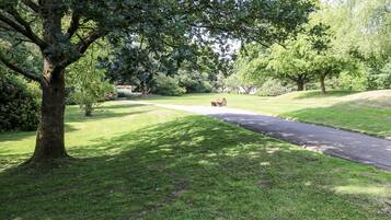 Terrain de l’hébergement