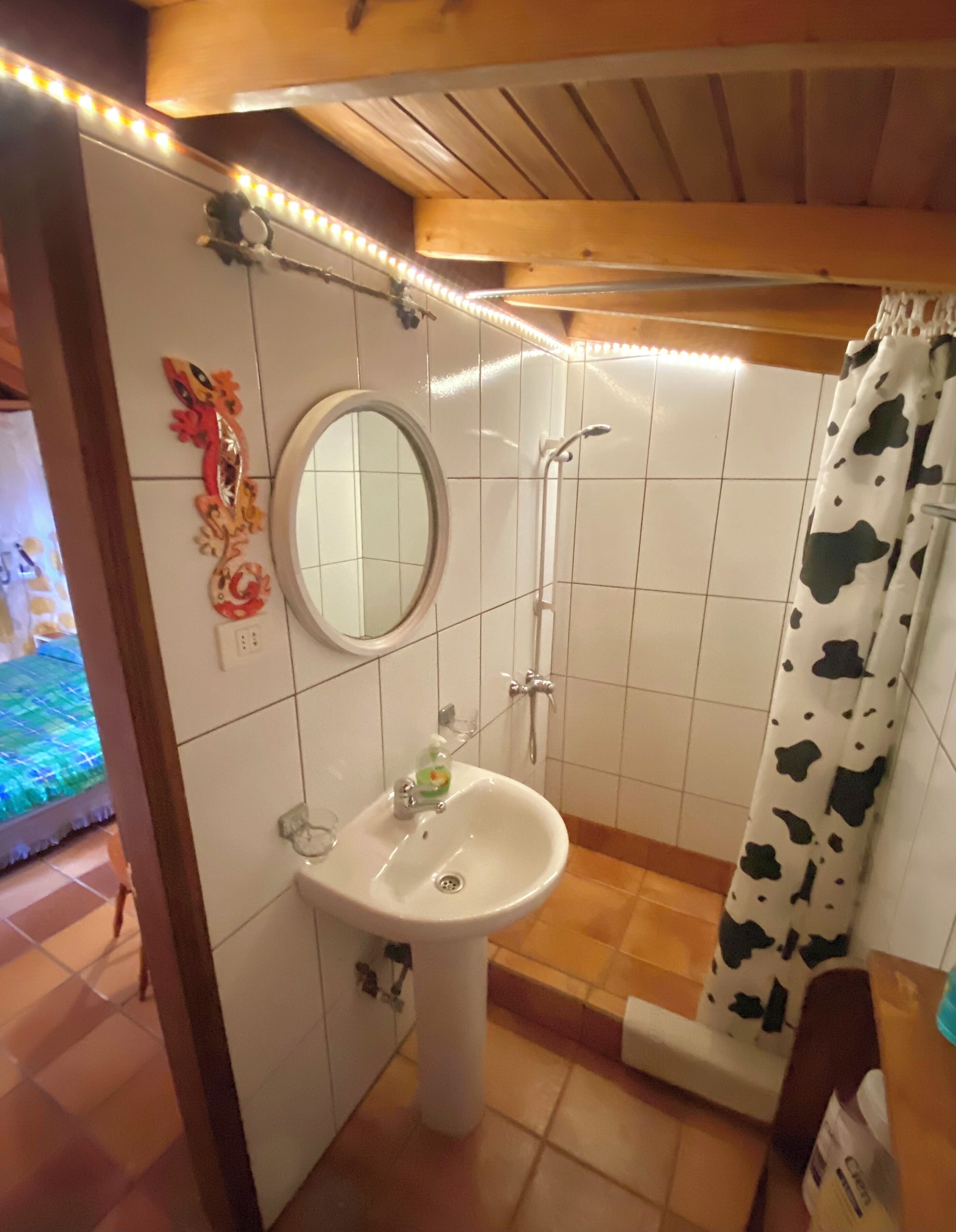 Douche, sèche-cheveux, serviettes fournies, savon