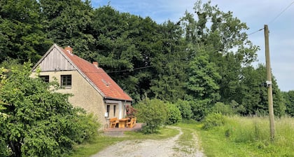 Waldhaus Wiesenblick+Spielzimmer & Tischtennisraum
