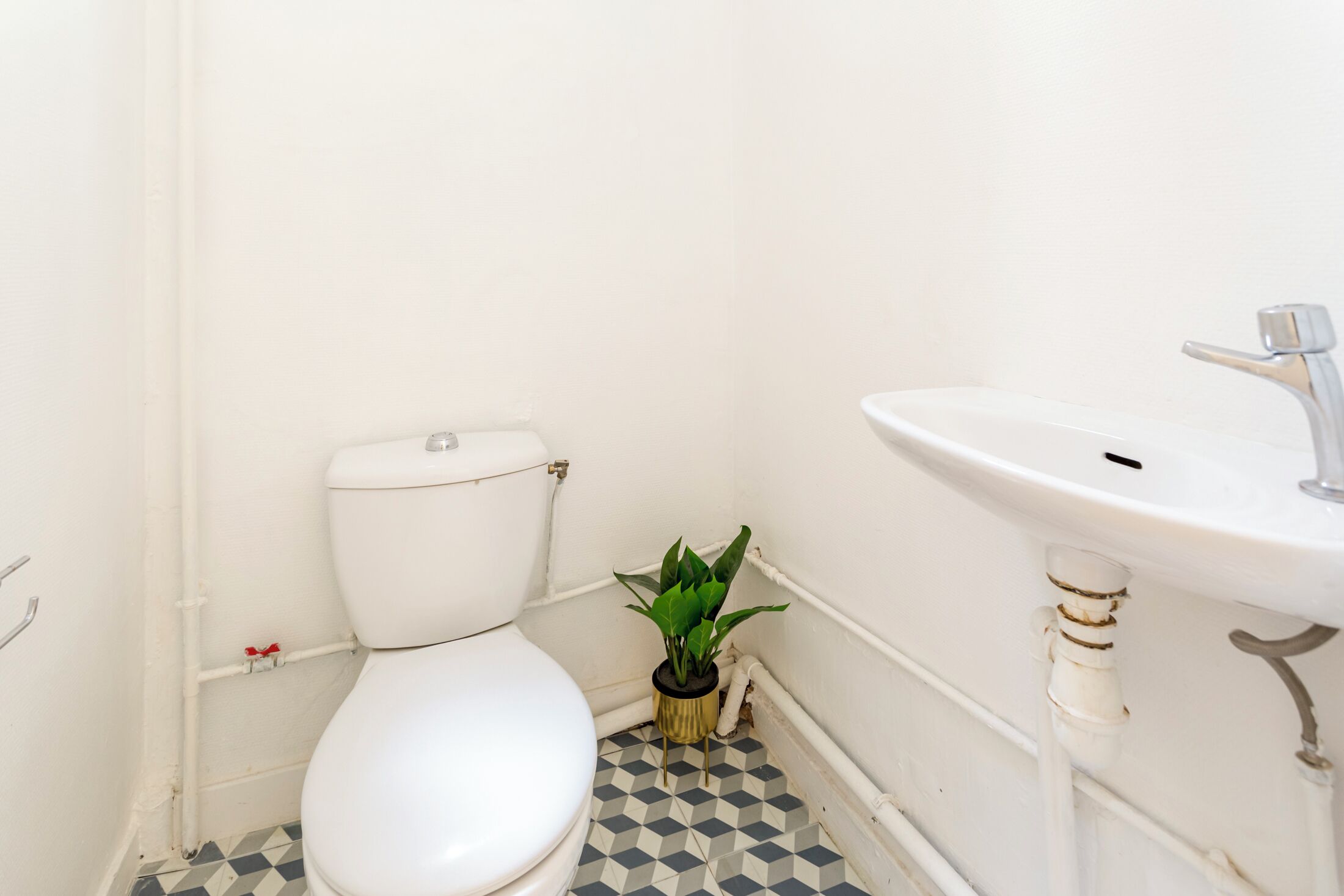 Ein kleines Badezimmer mit Toilette, Waschbecken und einer Topfpflanze.