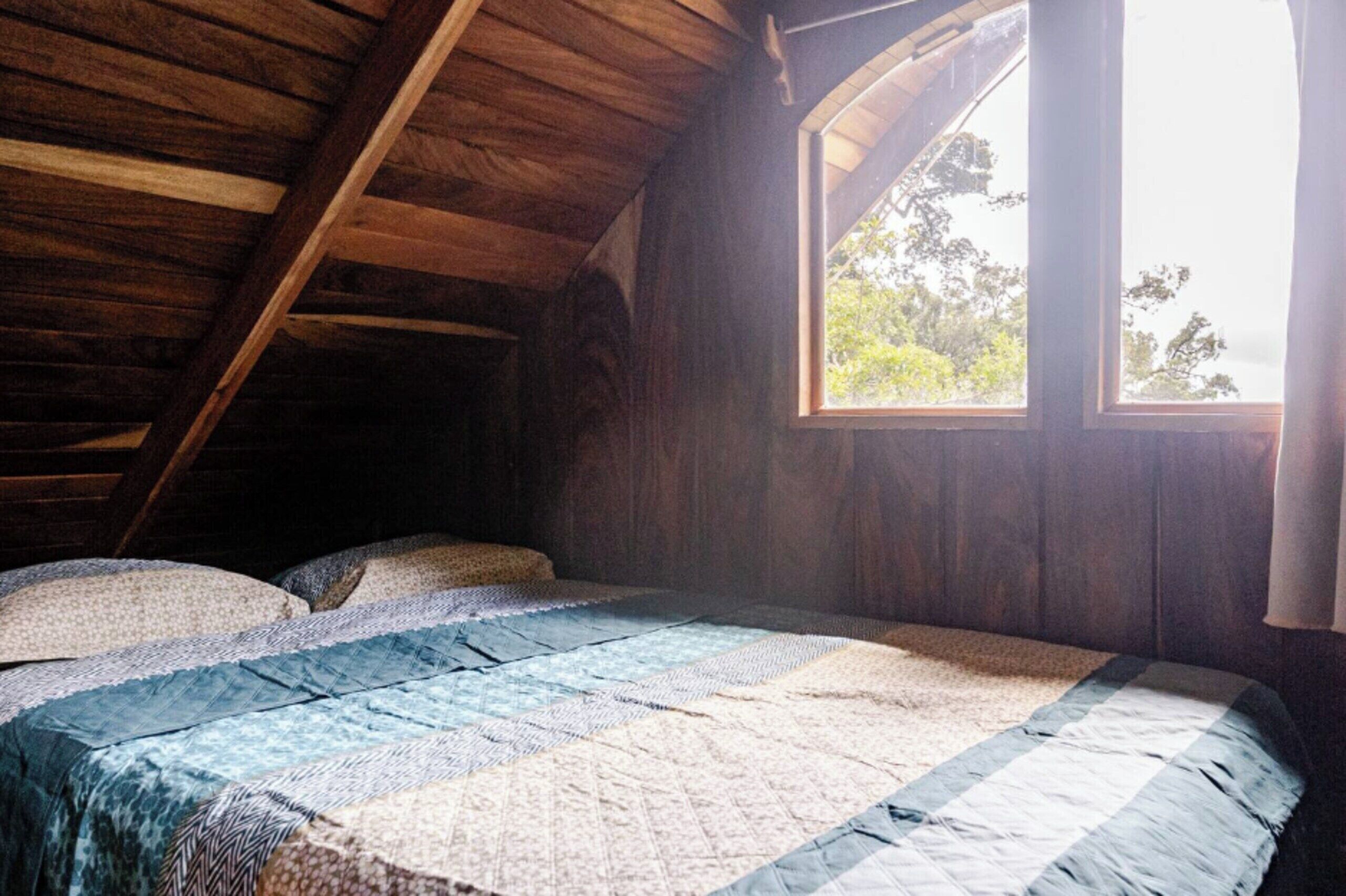 Una habitación con techo de madera inclinado, ventana con vistas a árboles y cama con colcha.