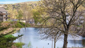 Une vue sur le lac, avec un arbre au premier plan, une zone herbeuse et des bâtiments en arrière-plan.