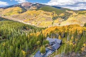 Una casa rodeada de un bosque frondoso con una montaña al fondo.