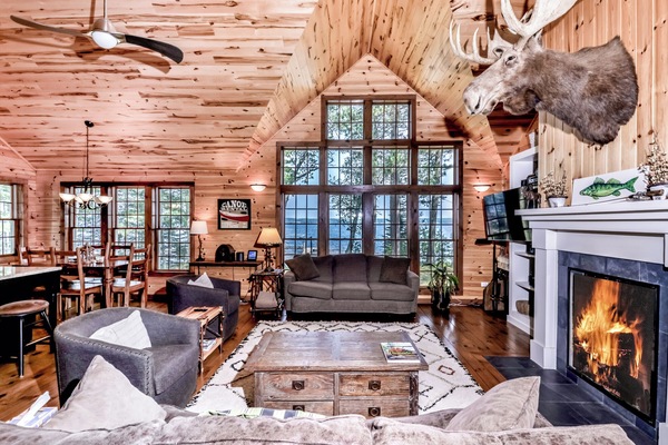 Smart TV, fireplace, books