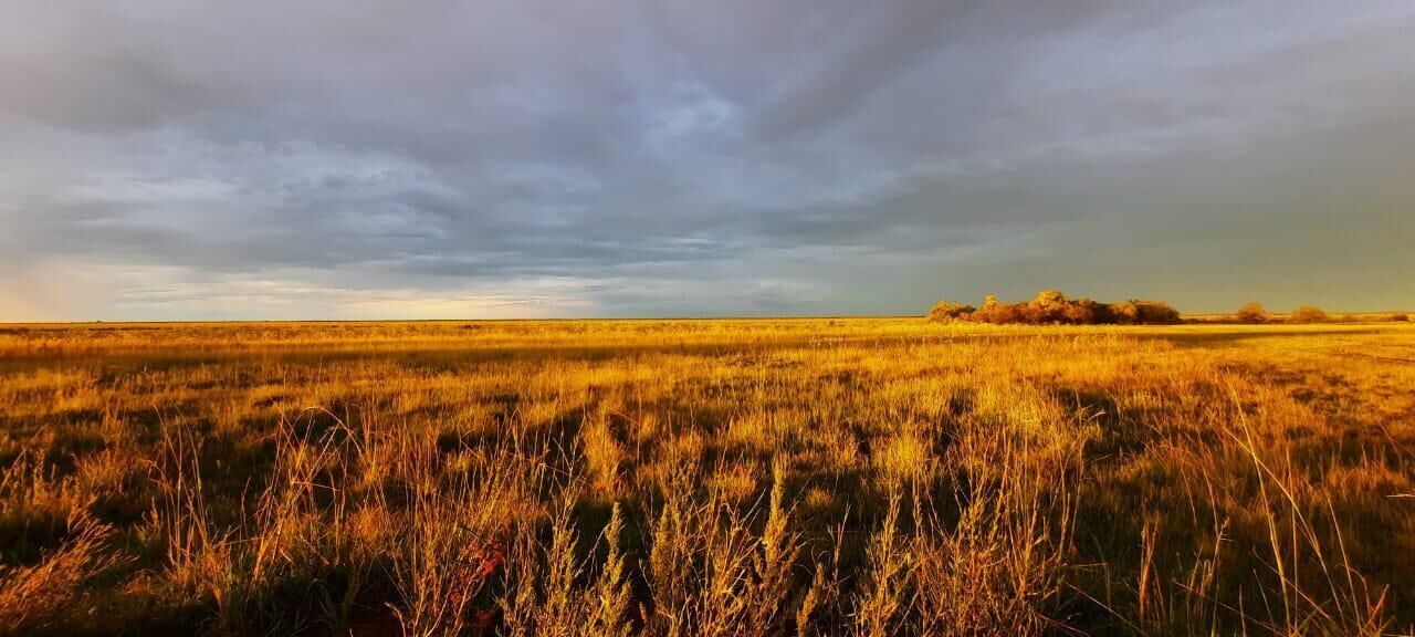 Servicio de la propiedad