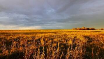 Servicio de la propiedad