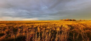 Property amenity - Casa de Esteros (Colonia Carlos Pellegrini)