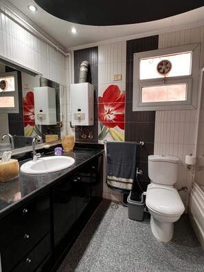 Bidet, serviettes fournies, savon, papier toilette