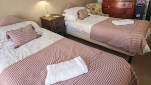Habitació d'hotel amb dos llits individuals, cadascun amb un sobrell d'estil quadriculat i almoinos, una nitrera de fusta amb una làmpada, un armari i un aspirador.