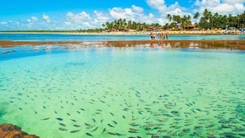 Beach nearby, white sand