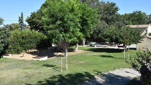 Un jardin avec une balançoire, un banc et un grand arbre.