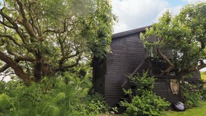 A rustic wooden cabin surrounded by lush greenery and trees. - The Tree House (Haverfordwest)