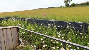 Et landligt landskab med et træhegn og vilde blomster.