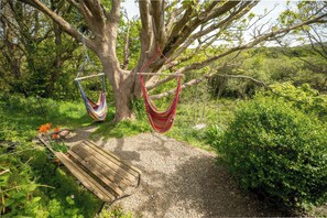 Un árbol con dos hamacas colgando de sus ramas, un banco de madera y un sendero de grava rodeado de vegetación.