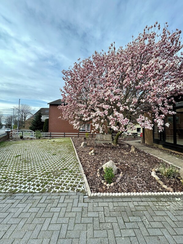 Property grounds - Studio apartment in the heart of Steinhude, quiet location, 5 min. to the sea (Wunstorf)