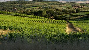 Exterior - Romantic Apartment In Chianti Classico (Castelnuovo Berardenga)