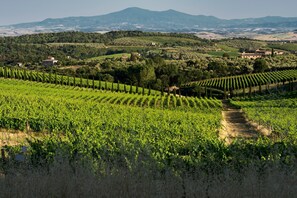 Exterior - Romantic Apartment In Chianti Classico (Castelnuovo Berardenga)