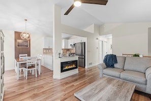 TV, fireplace, books