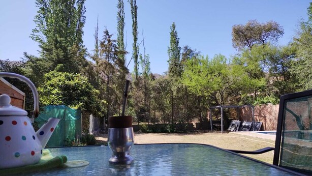 A table with a teapot and a cup, a green umbrella, and a view of a garden with trees and a brick wall. - Nancy and Carlos's house, view of the mountains, swimming pool and barbecue area. (San Luis)