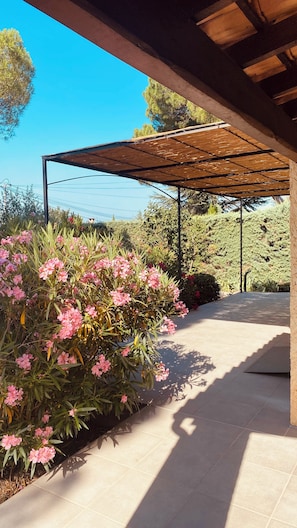 Property grounds - Cosy house with large swimming pool, 3 minutes from Lourmarin by car (Lourmarin)