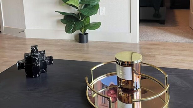 Un salon avec un téléviseur fixé au mur diffusant un événement sportif, une plante en pot, une table basse agrémentée d’un objet décoratif et, au fond, un lit avec une tête de lit sombre.