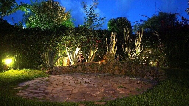 A stone pathway in a garden at night with illuminated plants and trees. - THE SWEET VILLA - A charming place of Mediterranean quiet. (Santa Maria di Castellabate)