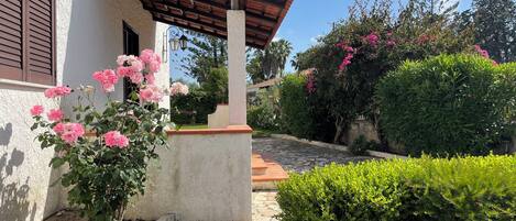 Área da propriedade