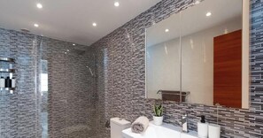 Shower, hair dryer, towels