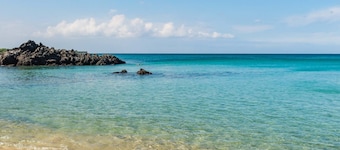 Steps from the beach, 2-bedroom house with WiFi, AC in awesome Puako Beach