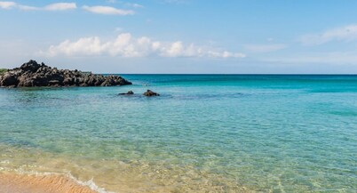 Steps from the beach, 2-bedroom house with WiFi, AC in awesome Puako Beach