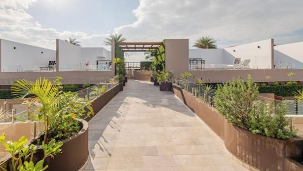 A rooftop terrace with a pathway, potted plants, and seating areas.