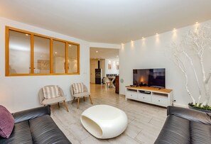 TV, fireplace, video games, books