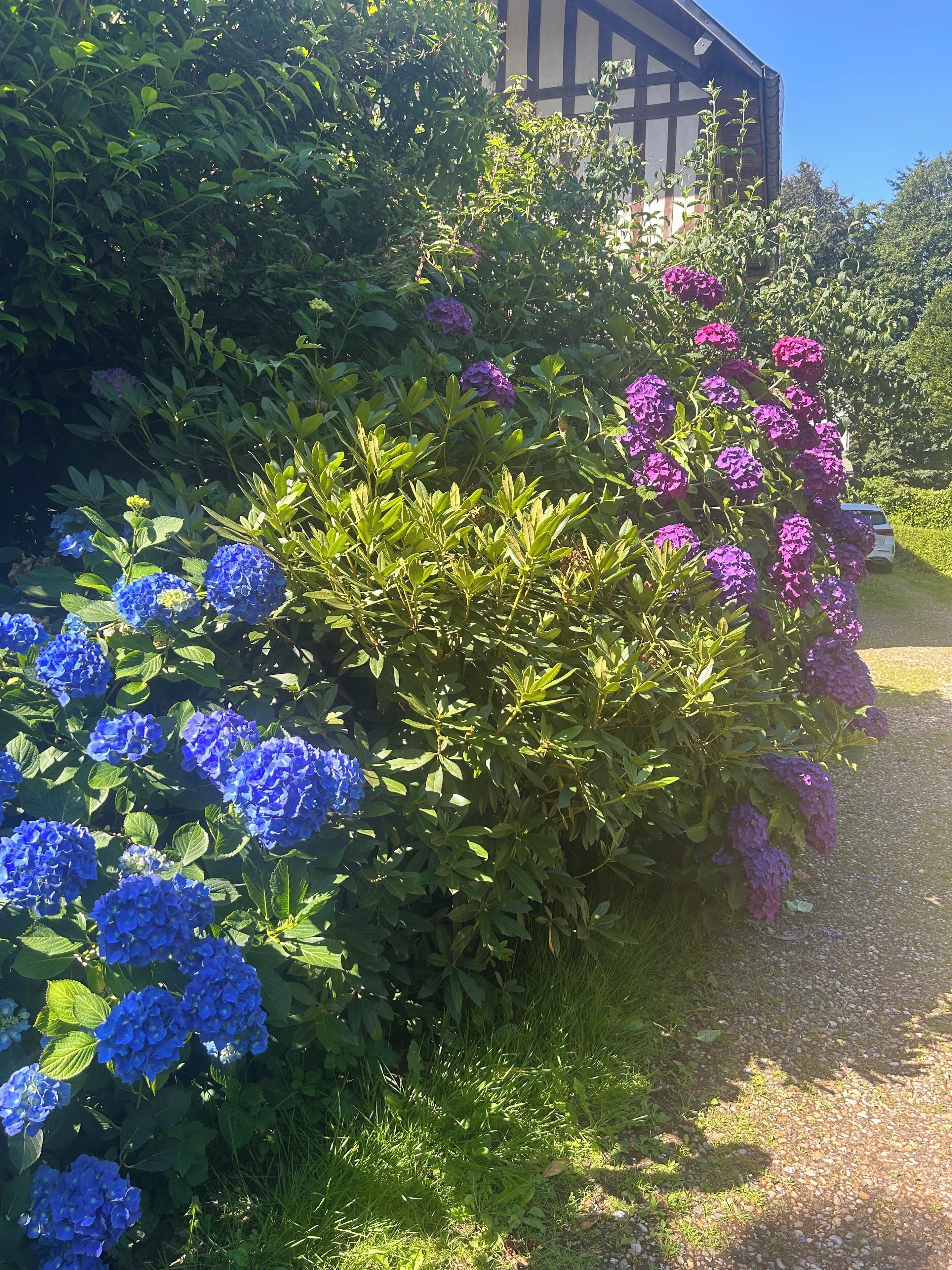 Terrein van de accommodatie