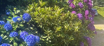 self-contained accommodation in a farmhouse with private swimming pool