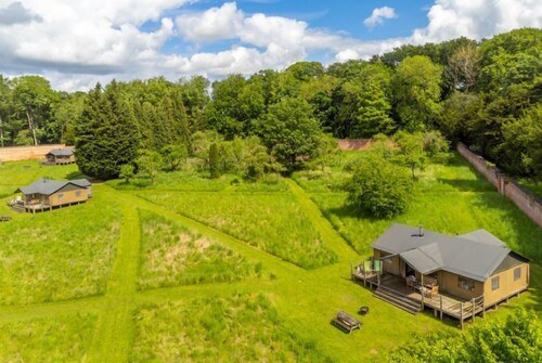 Kite at Exton Park, Rutland, Dog Friendly