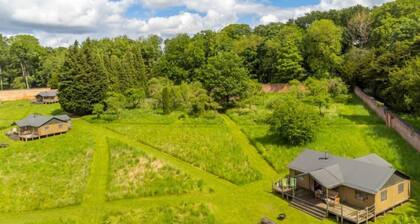 Kite at Exton Park, Rutland, Dog Friendly