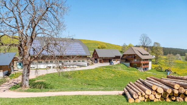 Una cabaña con techo de paneles solares, un montón de leña y un sendero que conduce a las edificaciones.
