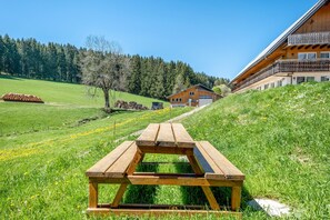 Outdoor dining - Apartment 'Lothar, 80qm' with Shared Garden, Balcony and Wi-Fi (Furtwangen)